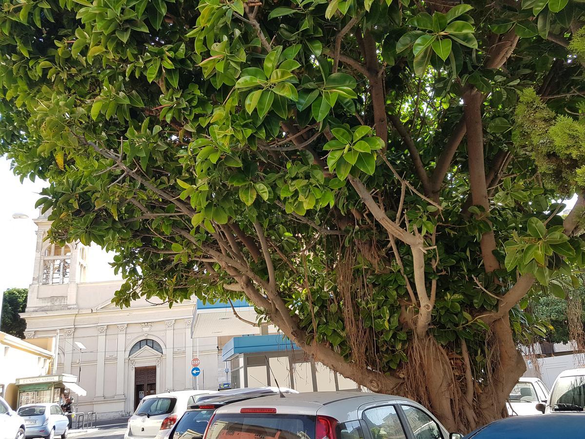 Da Agnese Locazioni Brevi Hotel Cagliari Eksteriør billede
